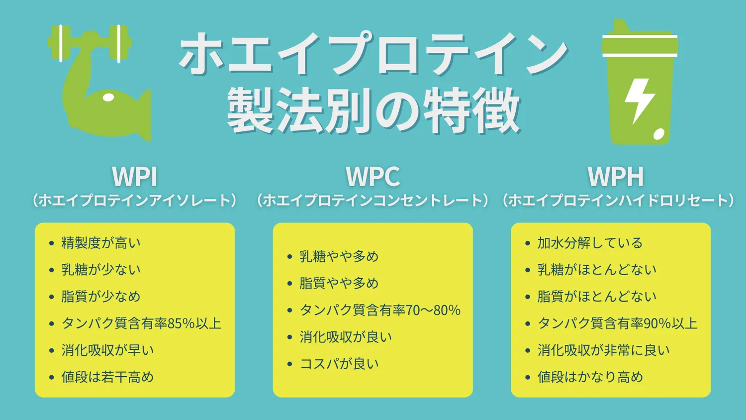WPIプロテインの特徴とは?
