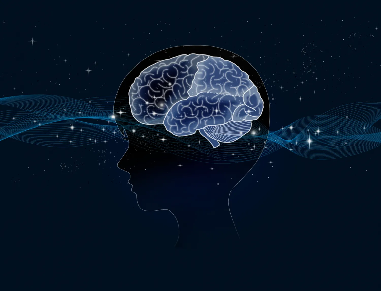 クレアチンが脳の疲れに効く理由