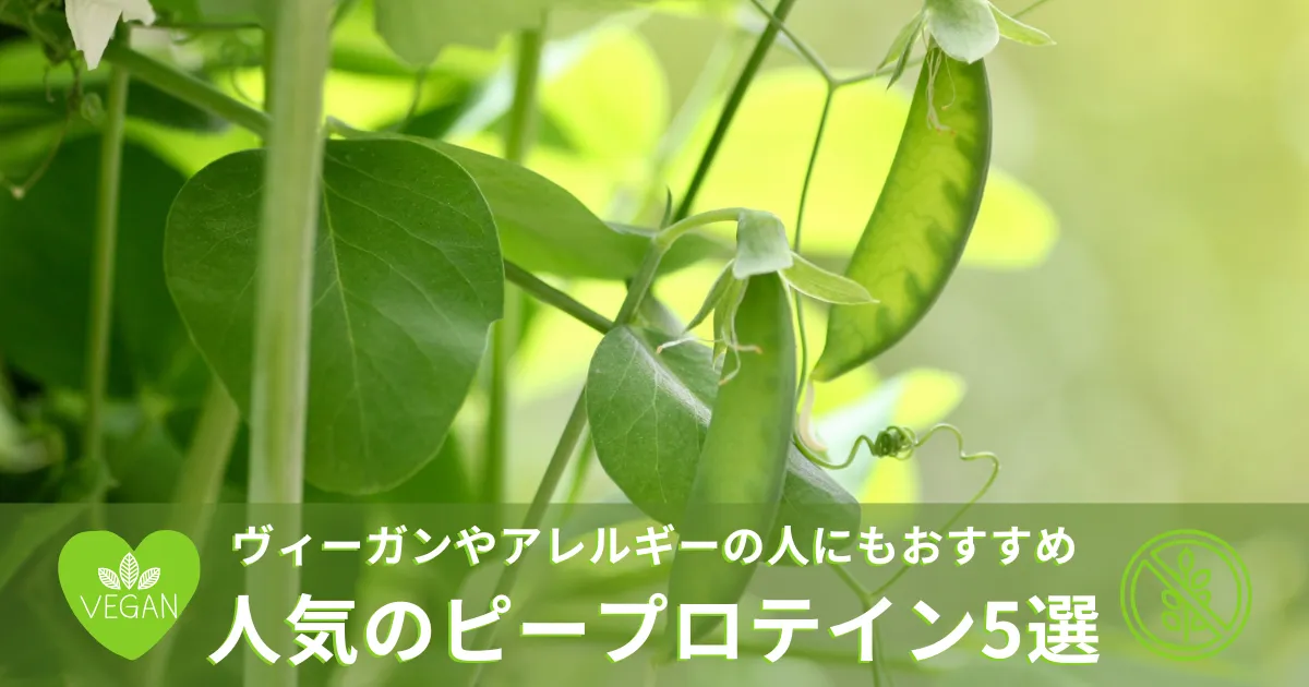 ヴィーガンやアレルギーの人にもおすすめ|人気のピープロテイン5選