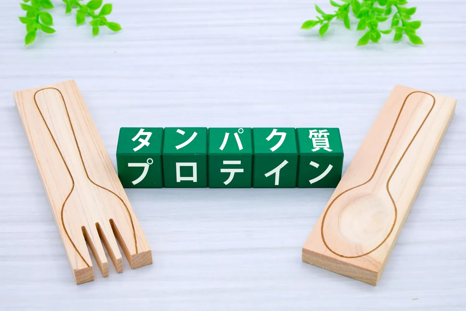 まずはこれだけ覚えよう!プロテインとは?
