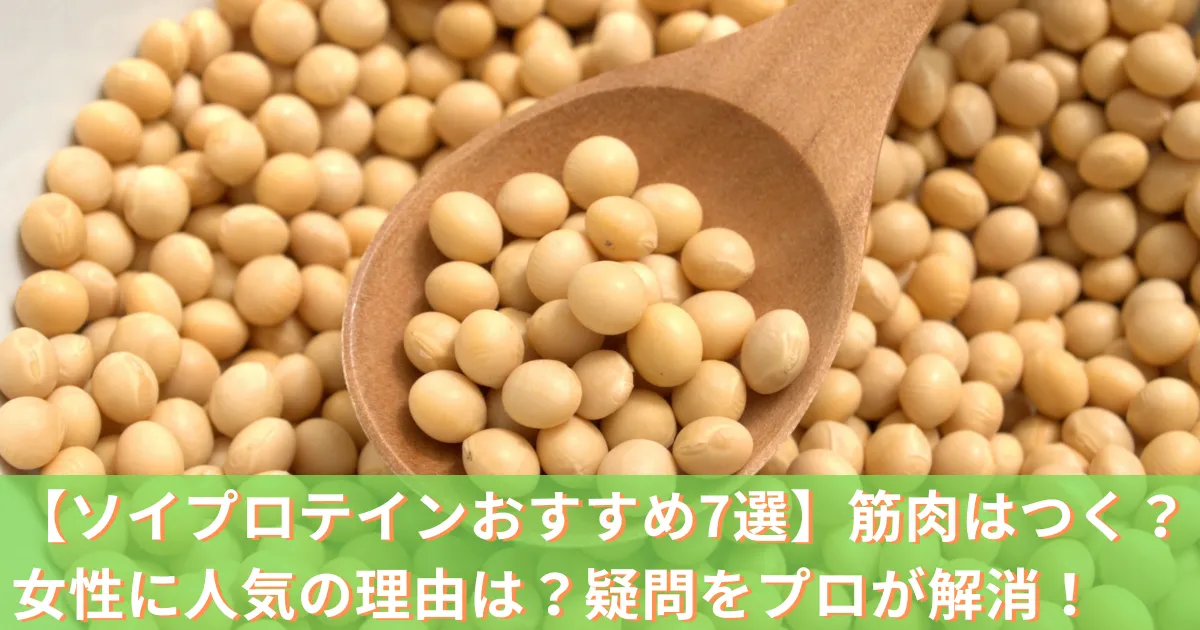 ソイプロテインおすすめ7選【2026最新】筋肉はつく？女性に人気の理由は？疑問をプロが解消！