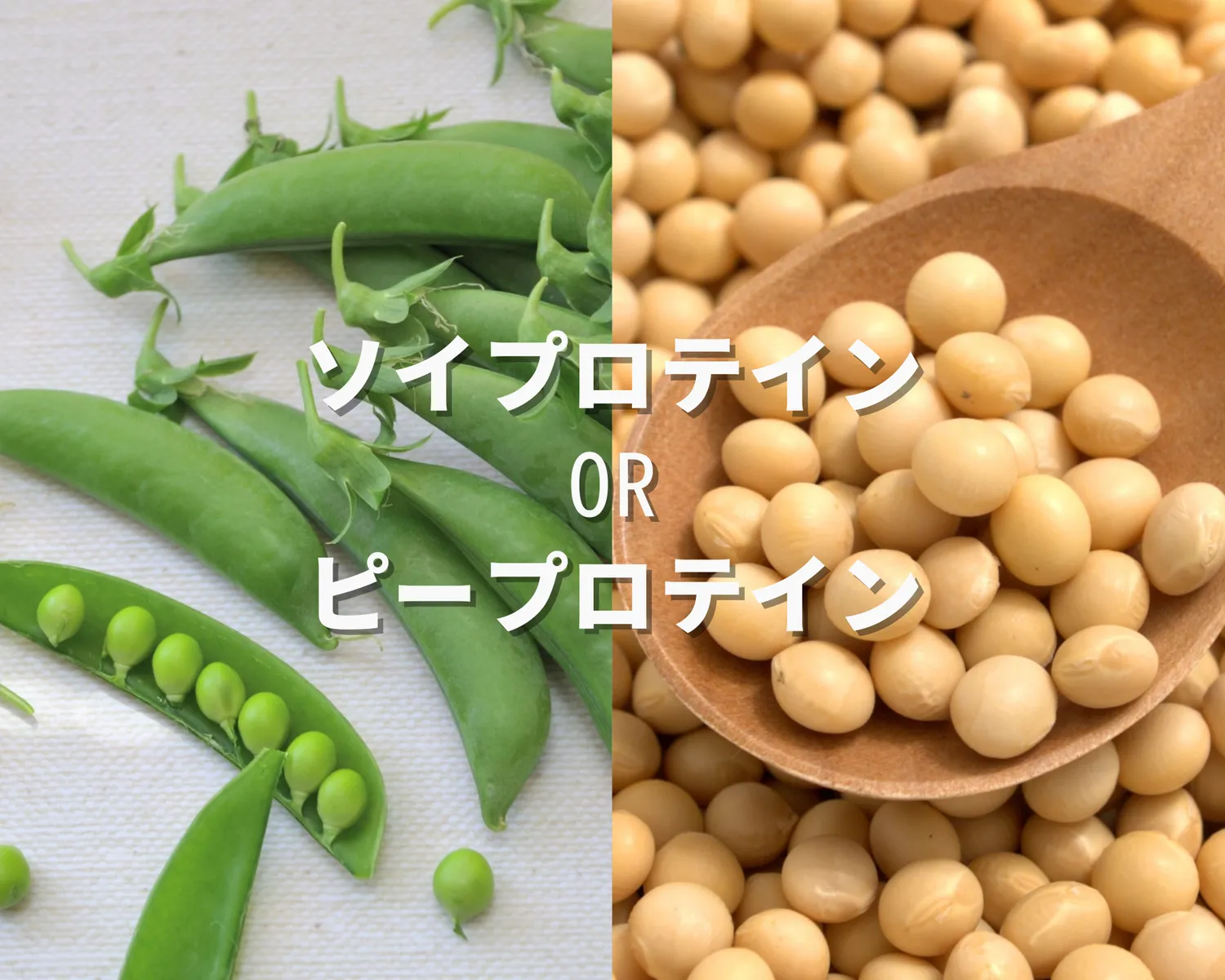 ソイプロテインとピープロテインどちらが良い?選び方