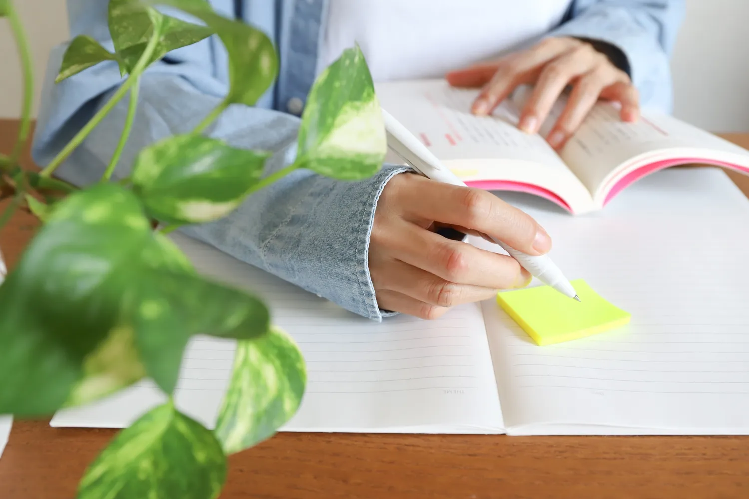 認知機能の向上(記憶力・集中力のUP)