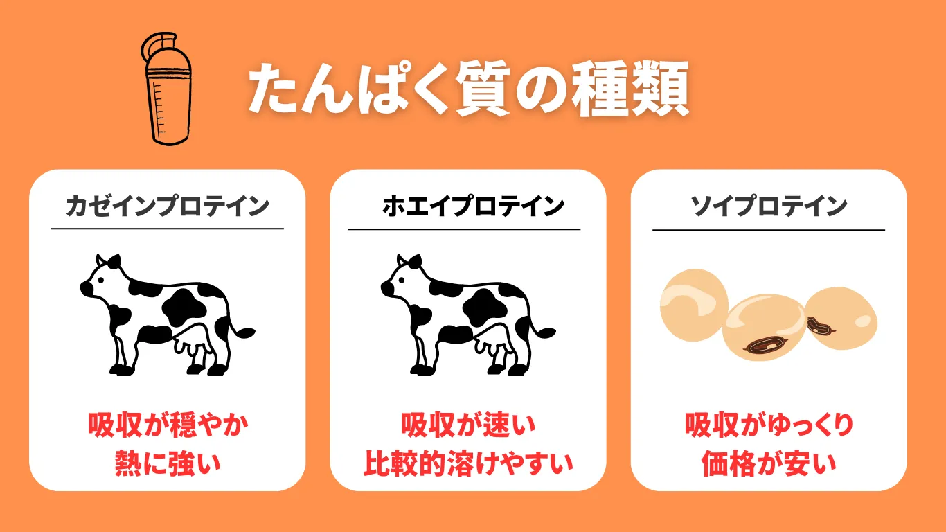 カゼインプロテインの特徴とは？ホエイプロテイン・ソイプロテインとの違い