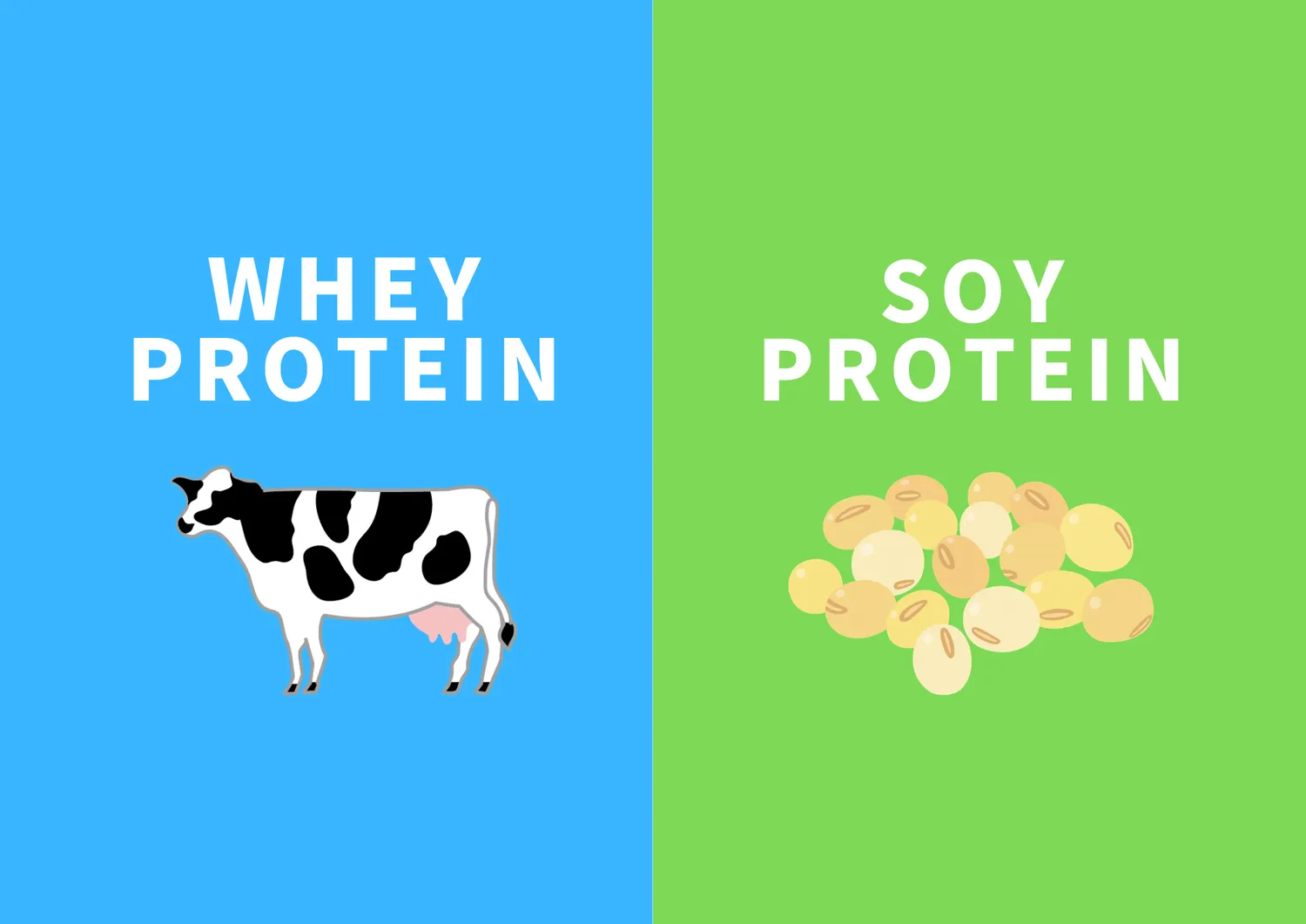 ホエイプロテインとソイプロテインの違い